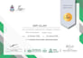 build a professional responsive website for your buisness